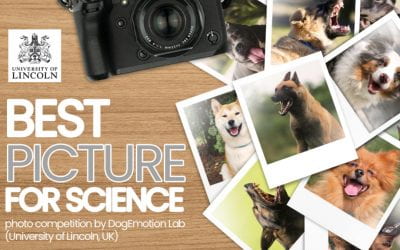 “Snapshots for Science” – Photo Competition by the Dog Emotion Lab