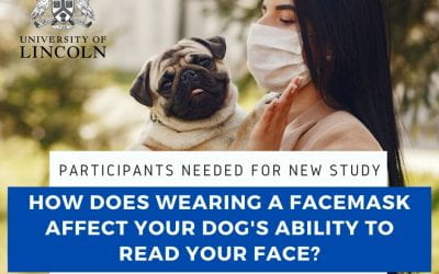 How does “censoring” of your face affect your dog?