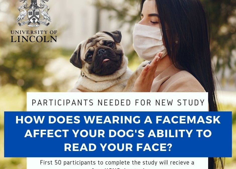 How does “censoring” of your face affect your dog?